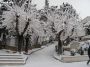 neve (04)
